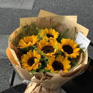 Golden Glow mini Sunflowers
